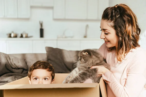 happy woman putting british longhair cat into cardboard box with her little son at home