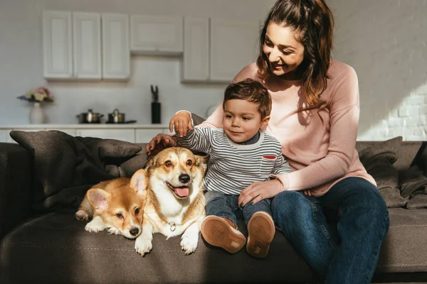 Child Petting Welsh Corgi Dog While His Mother Sitting Sofa — Stock Photo, Image