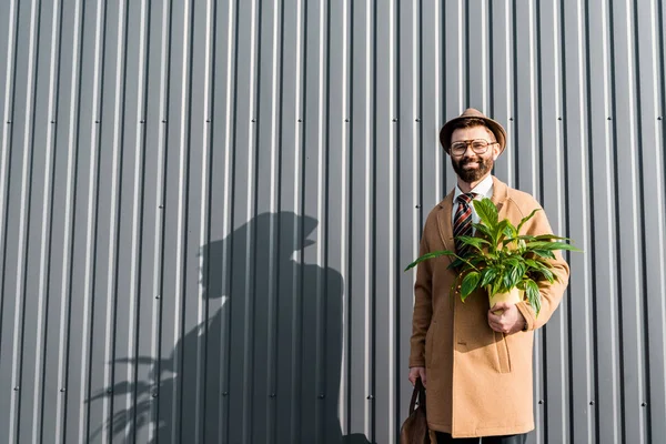 Χαμογελώντας Επιχειρηματίας Κρατώντας Την Τσάντα Και Πράσινο Φυτό Κίτρινο Δοχείο — Φωτογραφία Αρχείου