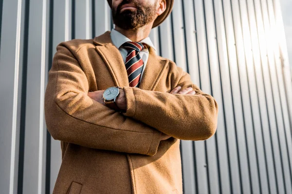 Cropped View Adult Businessman Standing Arms Crossed Textured Wall — Free Stock Photo