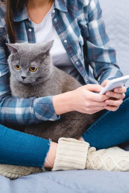 kısmi smartphone ile sevimli Britanya ile ilgili stenografi kedi yatakta otururken kullanan kız görünümünü 