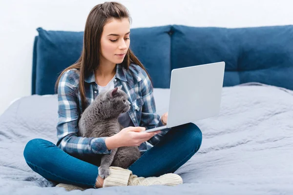 Молодая Женщина Использующая Ноутбук Сидя Кровати Симпатичной Британской Короткошерстной Кошкой — стоковое фото