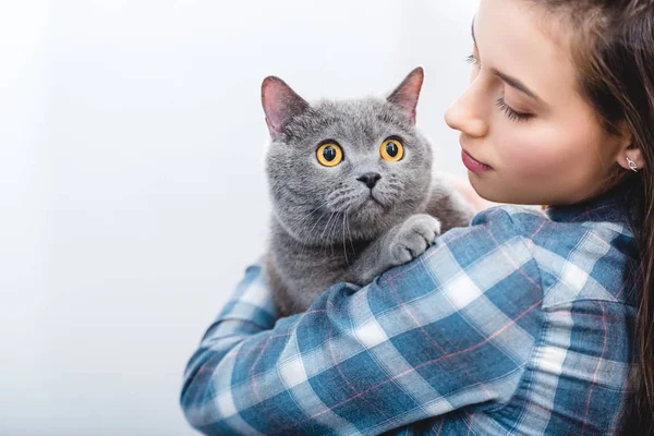 Wanita Muda Memegang Indah Abu Abu Inggris Kucing Pendek — Stok Foto