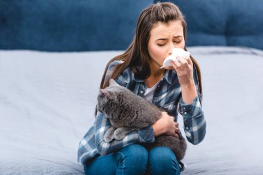 girl with allergy holding facial tissue and british shorthair cat at home  clipart