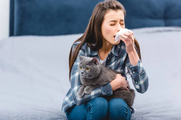 Młoda Kobieta Alergią Trzymając Tkanek Twarzy Brytyjski Stenografia Kot Domu — Zdjęcie stockowe
