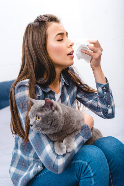 young woman with allergy holding facial tissue and british shorthair cat  