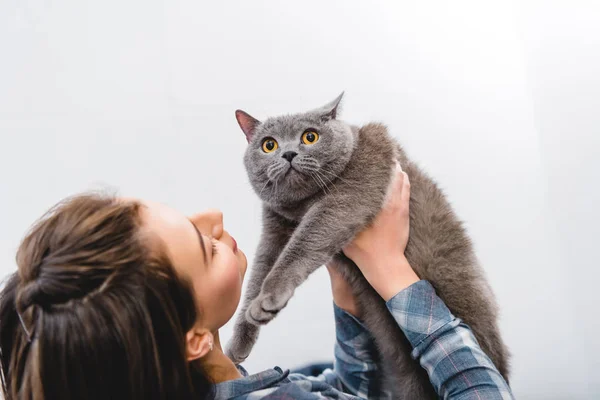 Bela Jovem Mulher Segurando Adorável Britânico Shorthair Gato — Fotografia de Stock Grátis