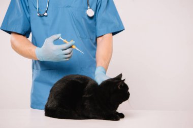 şırınga tutarak ve kara kedi gri izole için microchipping yordam yapmadan veteriner kırpılmış görünümünü