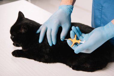microchipping yordam için kara kedi yapmadan veteriner kırpılmış görünümünü 
