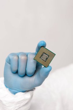 cropped view of microchip in hand of scientist isolated on grey  clipart