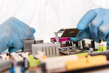 cropped view of microchip in hands of scientist in latex gloves clipart