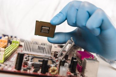 cropped view of microchip in hand of scientist near motherboard  clipart