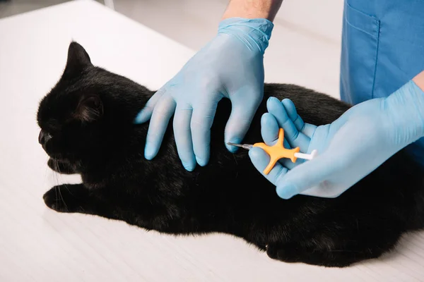 Vista Recortada Del Veterinario Haciendo Procedimiento Microastillado Gato Negro — Foto de Stock