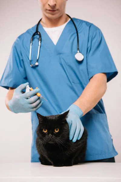 Cropped View Veterinarian Standing Syringe Black Cat Microchipping Procedure Grey — Stock Photo, Image