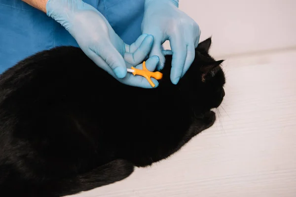 Bijgesneden Weergave Van Dierenarts Microchips Aanbrengt Met Zwarte Kat Tafel — Stockfoto