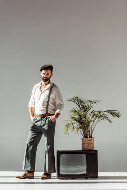 yakışıklı sakallı adam kap ayakta vintage yakınındaki tv ile bitki pot ve kameraya arıyor 