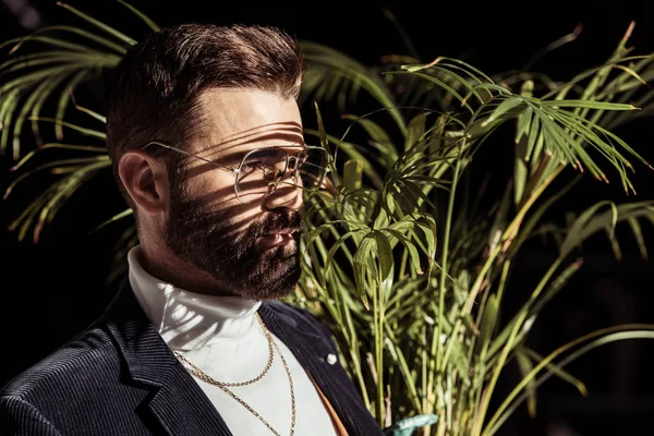 Schöner Bärtiger Mann Mit Brille Und Grüner Zimmerpflanze Isoliert Auf — Stockfoto