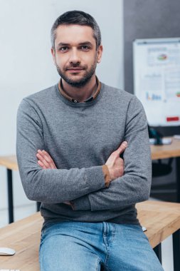 handsome bearded businessman sitting on table with crossed arms and looking at camera clipart