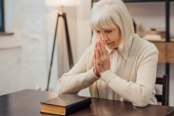 concentrated senior woman sitting and praying in front of holy bible at home
