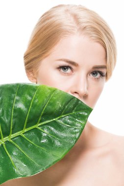 tropikal yaprak yeşil yüz beyaz izole kamera bakarak yakınındaki güzel çıplak kız 