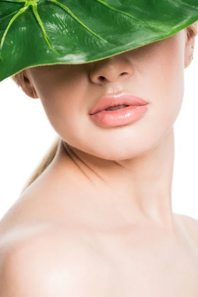 Bela Menina Nua Com Folha Tropical Verde Rosto Isolado Branco — Fotografia de Stock