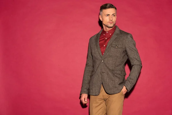 Homem Elegante Desgaste Formal Mão Bolso Fundo Vermelho Com Espaço — Fotografia de Stock