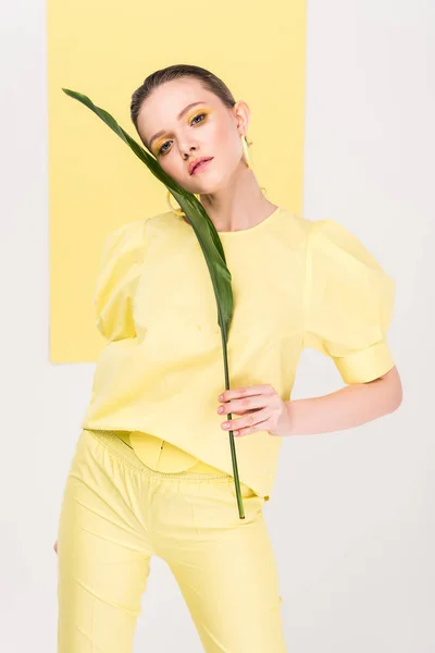 Beautiful Stylish Girl Holding Leaf Looking Camera Posing Limelight Background — Stock Photo, Image