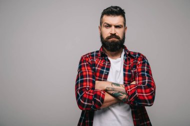 çapraz kolları üzerinde gri izole olan kareli gömlekli şüpheli sakallı adam