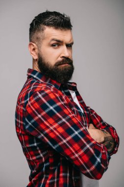suspicious bearded man in checkered shirt isolated on grey clipart