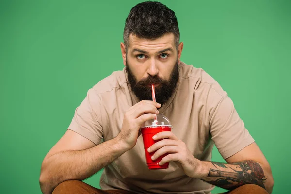 Interested Bearded Man Drinking Soda Isolated Green — Stock Photo, Image