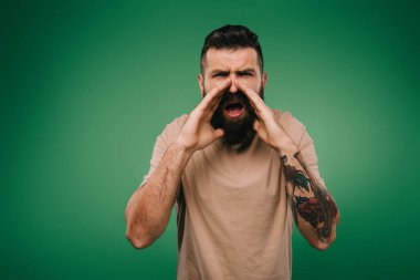 handsome bearded man screaming isolated on green clipart