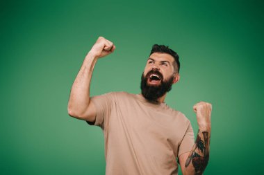 excited bearded man gesturing and yelling isolated on green