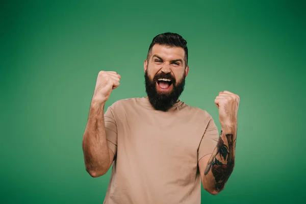 Animado Barbudo Homem Gestos Gritando Isolado Verde — Fotografia de Stock