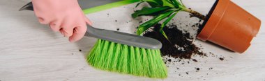 Cropped view of woman sweeping floor with brush clipart