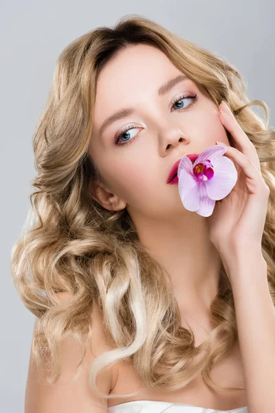 Joven Elegante Atractiva Mujer Celebración Púrpura Orquídea Boca Aislado Gris — Foto de Stock