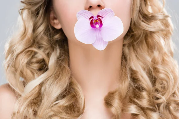 Abgeschnittene Ansicht Einer Jungen Frau Mit Lila Orchidee Mund Isoliert — Stockfoto