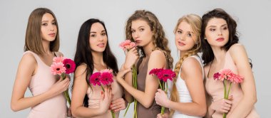 beautiful female friends holding pink flowers and standing isolated on grey clipart
