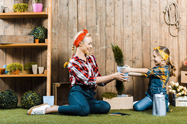 happy mother and cute daughter holding plant while sitting on grass near wooden fence