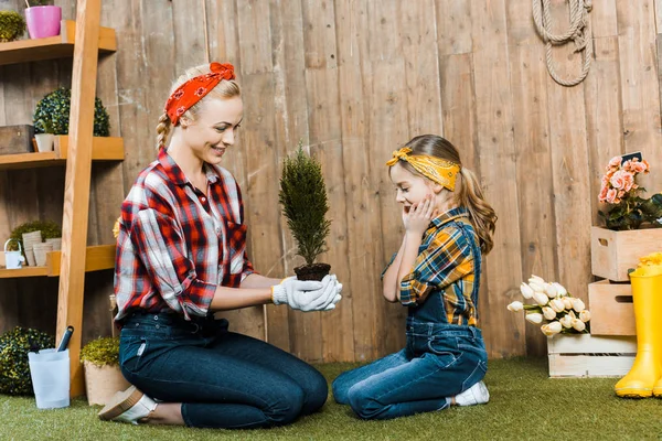 Mujer Feliz Sosteniendo Planta Verde Cerca Hija Sorprendida Mientras Está — Foto de Stock