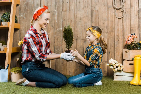 Atractiva Mujer Sosteniendo Planta Verde Sentado Con Hija Hierba —  Fotos de Stock