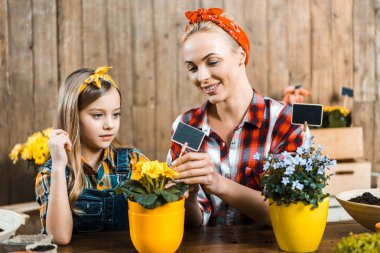 cute kid looking at happy mother putting small empty board into pot with flowers clipart