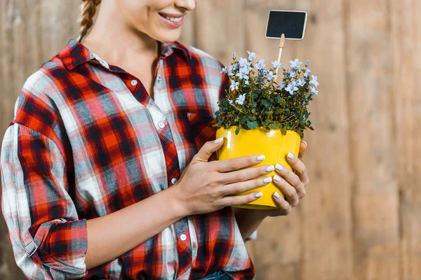 Cropped View Smiling Woman Holding Pot Flowers — Stock Photo, Image