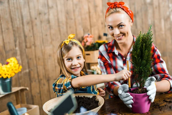 Selective Focus Cute Daughter Holding Small Rake Plant Pot Mother — Stock Photo, Image