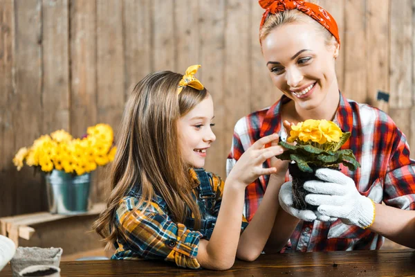 Cheerful Kid Looking Pot Flowers Hands Happy Mother — Stock Photo, Image