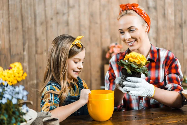 Niño Alegre Mirando Olla Cerca Madre Sosteniendo Flores Con Tierra —  Fotos de Stock