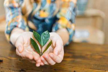çocuğun elinde yeşil yaprakların seçici odak 