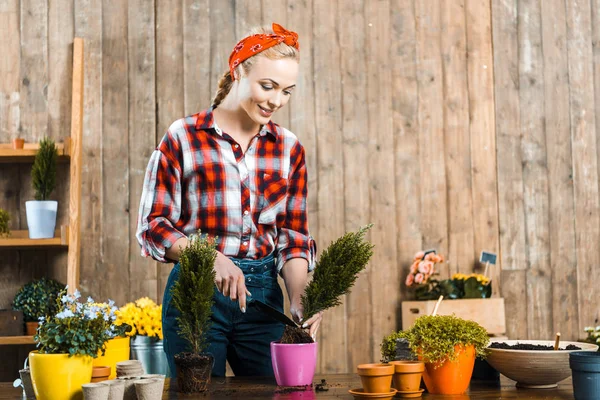 シャベルを押しながら鍋に植物を移植しながら笑みを浮かべて思いやりのある女性 — ストック写真