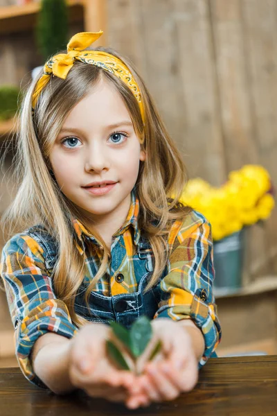 Selective Focus Cute Child Holding Green Leaves Hands — Stock Photo, Image