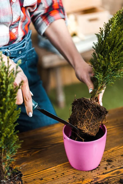 鍋に植物を移植しながらシャベルを保持している女性のトリミング ビュー — ストック写真