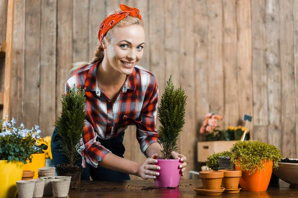 Wanita Cantik Tersenyum Sambil Memegang Hijau Tanaman Dalam Pot — Stok Foto